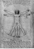 The proportions of the human figure (The Vitruvian Man)