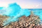 Super Natural Blues Three